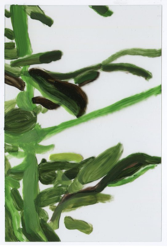 Alex Fischer, Vii C3 Acrylic on Acrylic, 2015-02-23